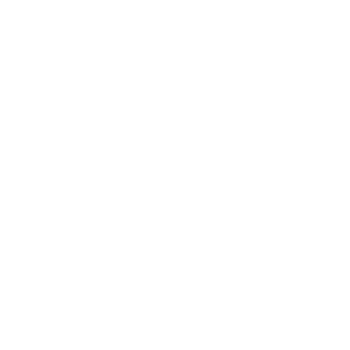 Project Proposal