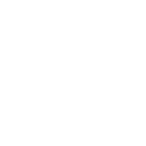 Security